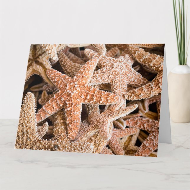 Grande carte de voeux de sucre Starfish (Devant)