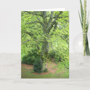 Grande carte de voeux verte d'arbre