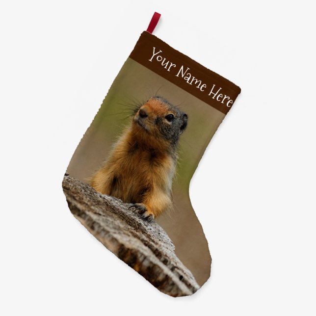 Grande Chaussette De Noël Amusant Cute Saucy Columbian Ground Squirrel (Devant (Accrochage))