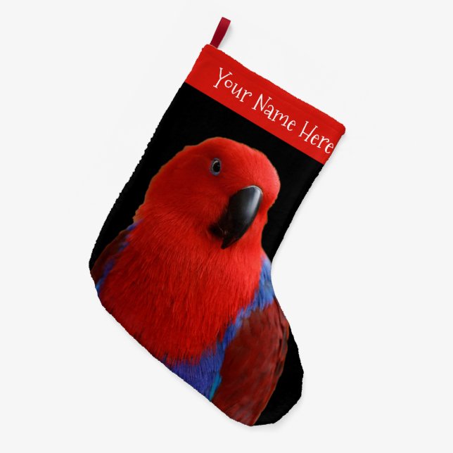 Grande Chaussette De Noël Belle "Dame en rouge" Eclectus Parrot (Devant (Accrochage))