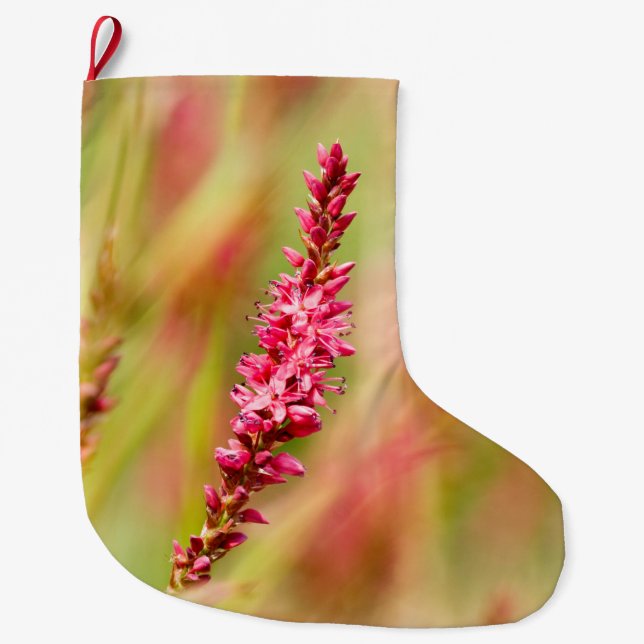 Grande Chaussette De Noël buisson de couleur (Devant)