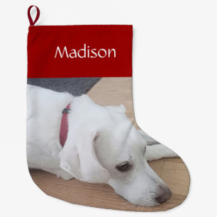 Grande Chaussette De Noël Chien mignon portant le collier rouge