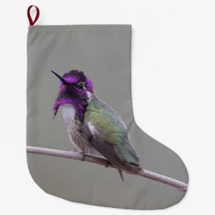 Grande Chaussette De Noël Colibri de Costa