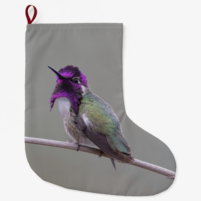 Grande Chaussette De Noël Colibri de Costa (Devant)