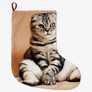 Grande Chaussette De Noël Cute Kitten S'Est Étendu