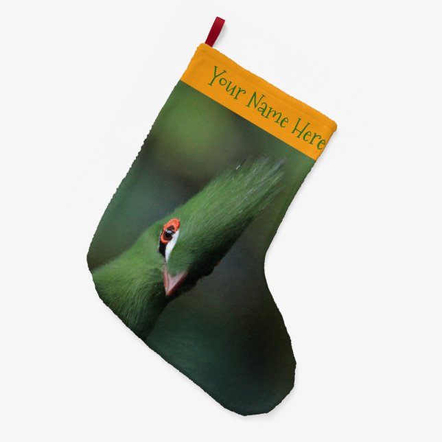 Grande Chaussette De Noël Drôle Curieux Guinée Turaco Oiseau Vert (Devant (Accrochage))