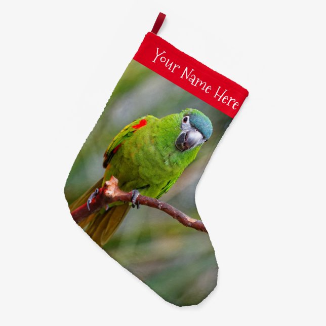 Grande Chaussette De Noël Hahn's Mini Macaw / Macaw à épaulettes rouges (Devant (Accrochage))