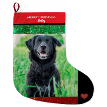Joyeux Noël Famille Animaux