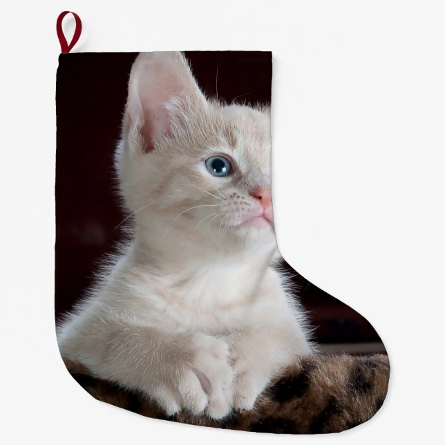 Grande Chaussette De Noël Kitten blanc vulnérable (Devant)