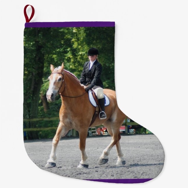Grande Chaussette De Noël Le comté de Howard en août 2011 juste (Devant)