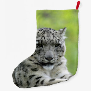 Grande Chaussette De Noël Leopard_2015_0310