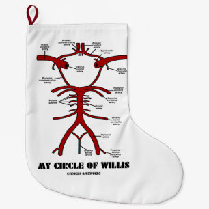 Grande Chaussette De Noël Mon Cercle De Willis Circulation Anatomique Du San