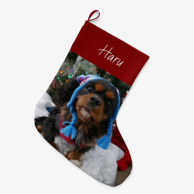 Grande Chaussette De Noël Noir et Tan Cavalier King Charles Spaniel (Devant (Accrochage))