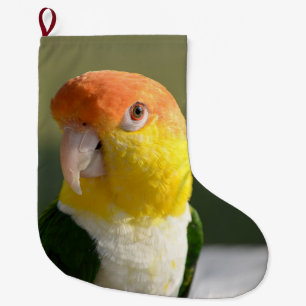 Grande Chaussette De Noël Perroquet de caïque gonflé par blanc