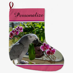 Grande Chaussette De Noël Perroquet de gris africain avec des orchidées