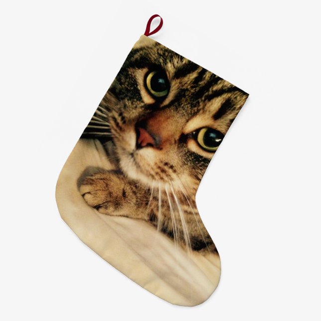 Grande Chaussette De Noël Petit chat Noël Stocker (Devant (Accrochage))