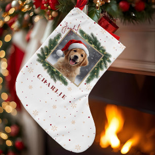Grande Chaussette De Noël Photo de Noël personnalisé pour animaux de compagn