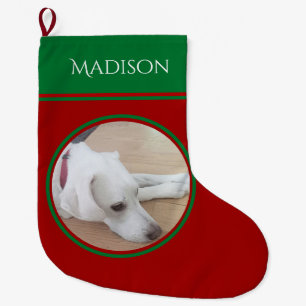 Grande Chaussette De Noël Photo d'un chien blanc pacifique portant un collie