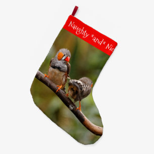 Grande Chaussette De Noël Pinsons zèbres effrontés oiseaux chanteurs sur une