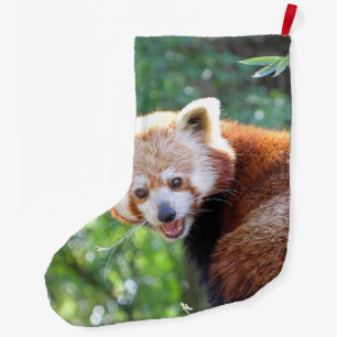 Grande Chaussette De Noël Red_Panda_2015_0306