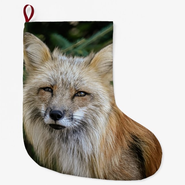 Grande Chaussette De Noël Renard sauvage (Devant)