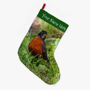 Grande Chaussette De Noël Un étrange Robin Américain dans l'herbe