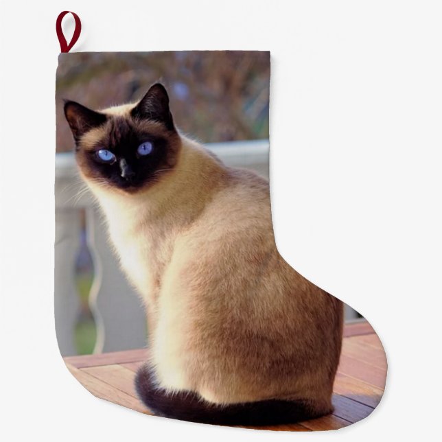 Grande Chaussette De Noël Votre chien, chat ou animal de compagnie Noël (Devant)
