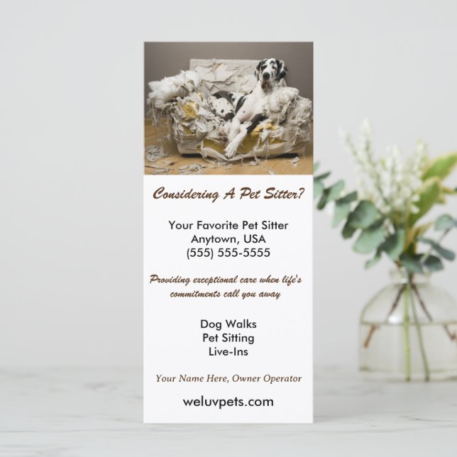 Grande Danse Relaxée sur le canapé-lit mâché avec  (Debout devant)