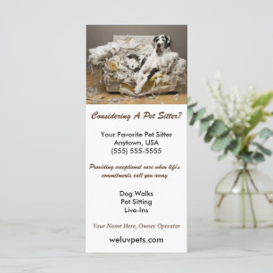 Grande Danse Relaxée sur le canapé-lit mâché avec