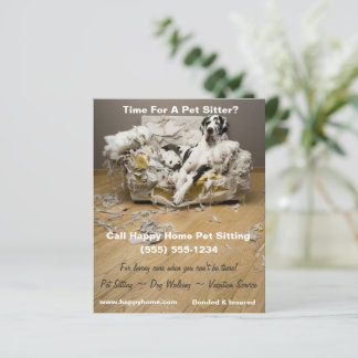 Grande Danse sur Canapé Chevronné Pet Sitting Flye