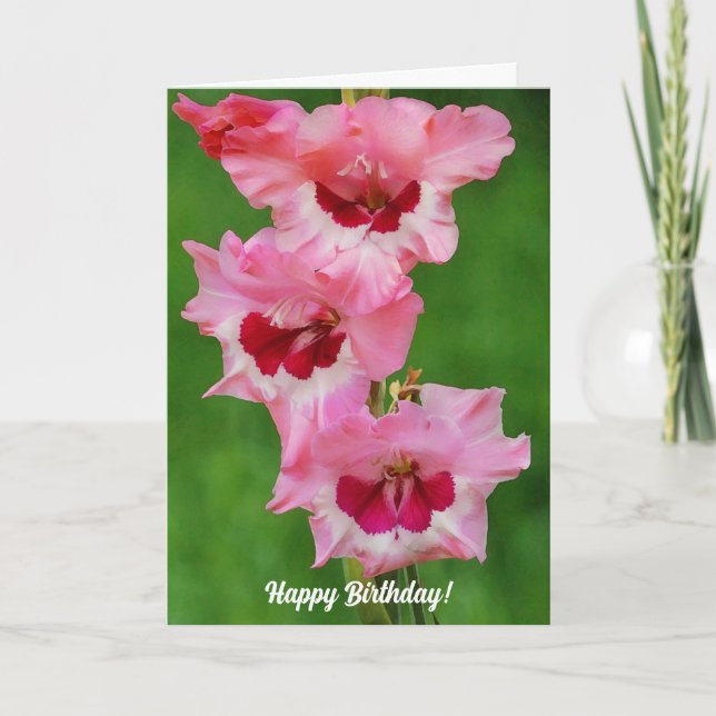 Grande Gladiolus Fleurs roses Carte Florale Annive (Devant)
