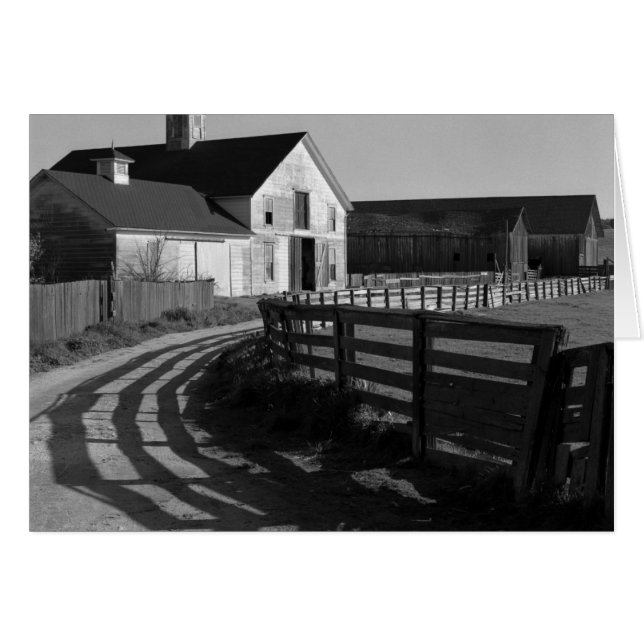 Grande grange et route, mars 1966 (Devant horizontal)