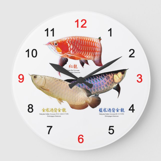 Grande Horloge Ronde ３種類のAsian Arowana (Recto)