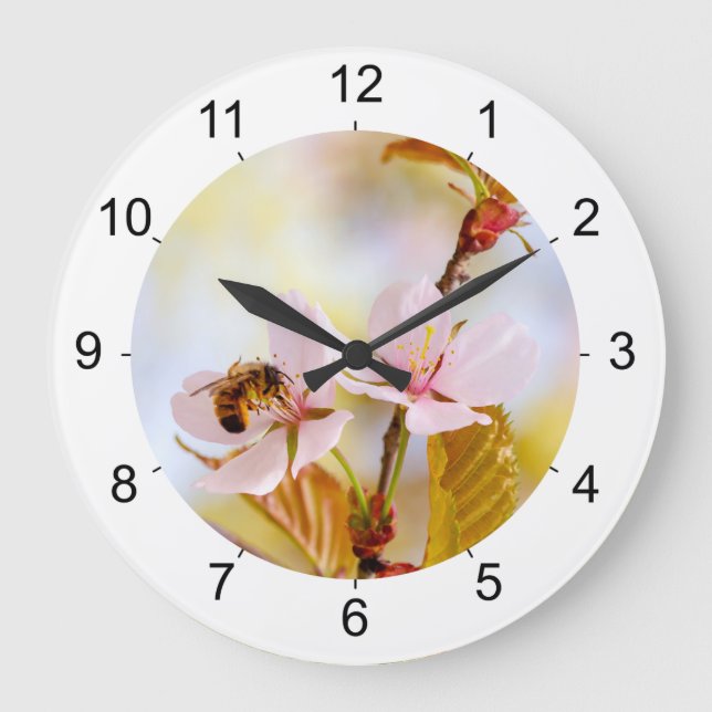Grande Horloge Ronde Abeille Sur Une Fleur De Cerise (Recto)