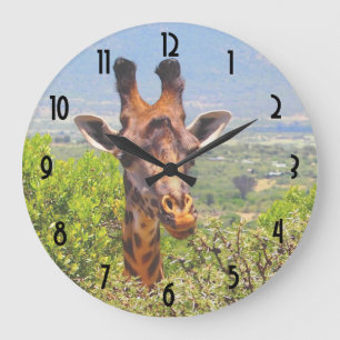 Grande Horloge Ronde Adorable Giraffe Poking His Head Above The Trees