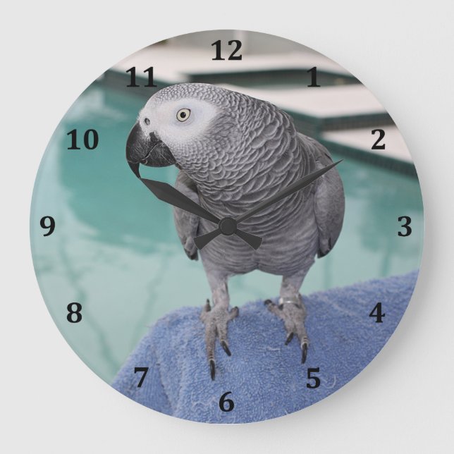 Grande Horloge Ronde African Grey Pool Party (Recto)