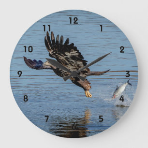 Grande Horloge Ronde Aigle à tête blanche immature qui dépose un poisso