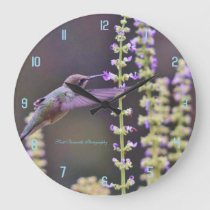 Grande Horloge Ronde Alimentation de colibri