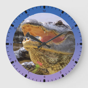 Grande Horloge Ronde Alligator américain