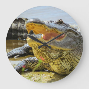 Grande Horloge Ronde Alligator américain face à face