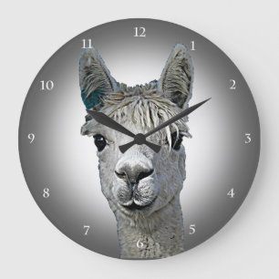 Grande Horloge Ronde Alpaca Time