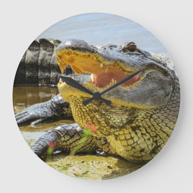 Grande Horloge Ronde American Alligator face à face (Recto)