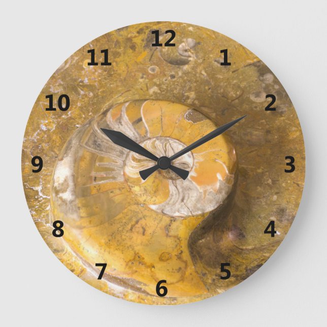 Grande Horloge Ronde Ammonite et autres fossiles dans la photographie r (Recto)