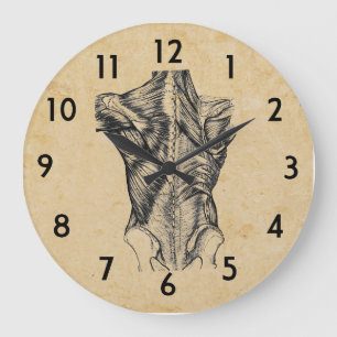 Grande Horloge Ronde Anatomie arrière de cru