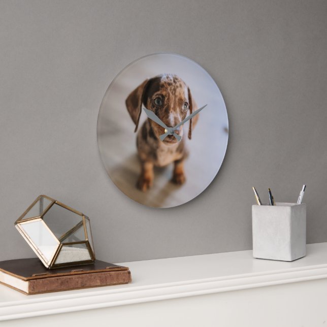 Grande Horloge Ronde Animaux de bébés cutest | Chiot Brown (Bureau)