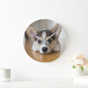 Grande Horloge Ronde Animaux de bébés cutest   Corgi Puppy