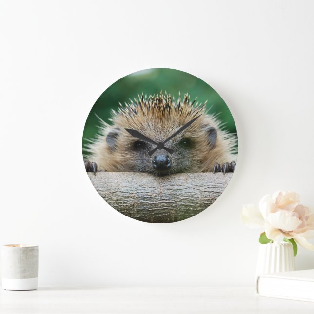 Grande Horloge Ronde Animaux de bébés cutest | Hedgehog Smile (Maison)