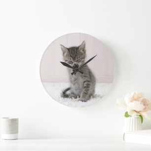 Grande Horloge Ronde Animaux de bébés cutest Licking Tabby Kitten