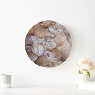 Grande Horloge Ronde Animaux de bébés cutest Orange Kitten Pile