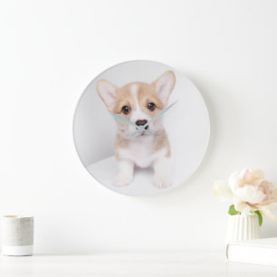 Grande Horloge Ronde Animaux de bébés cutest   Tiny Corgi